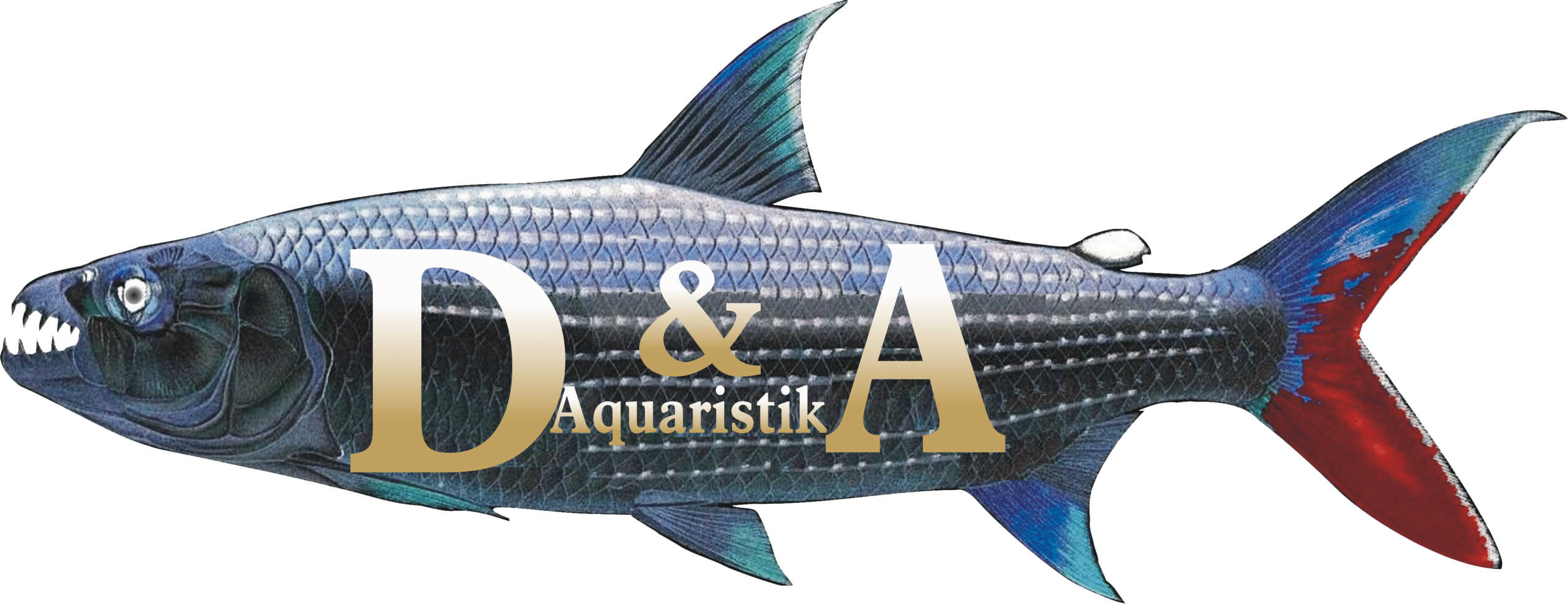 D&A-Aquaristik Logo